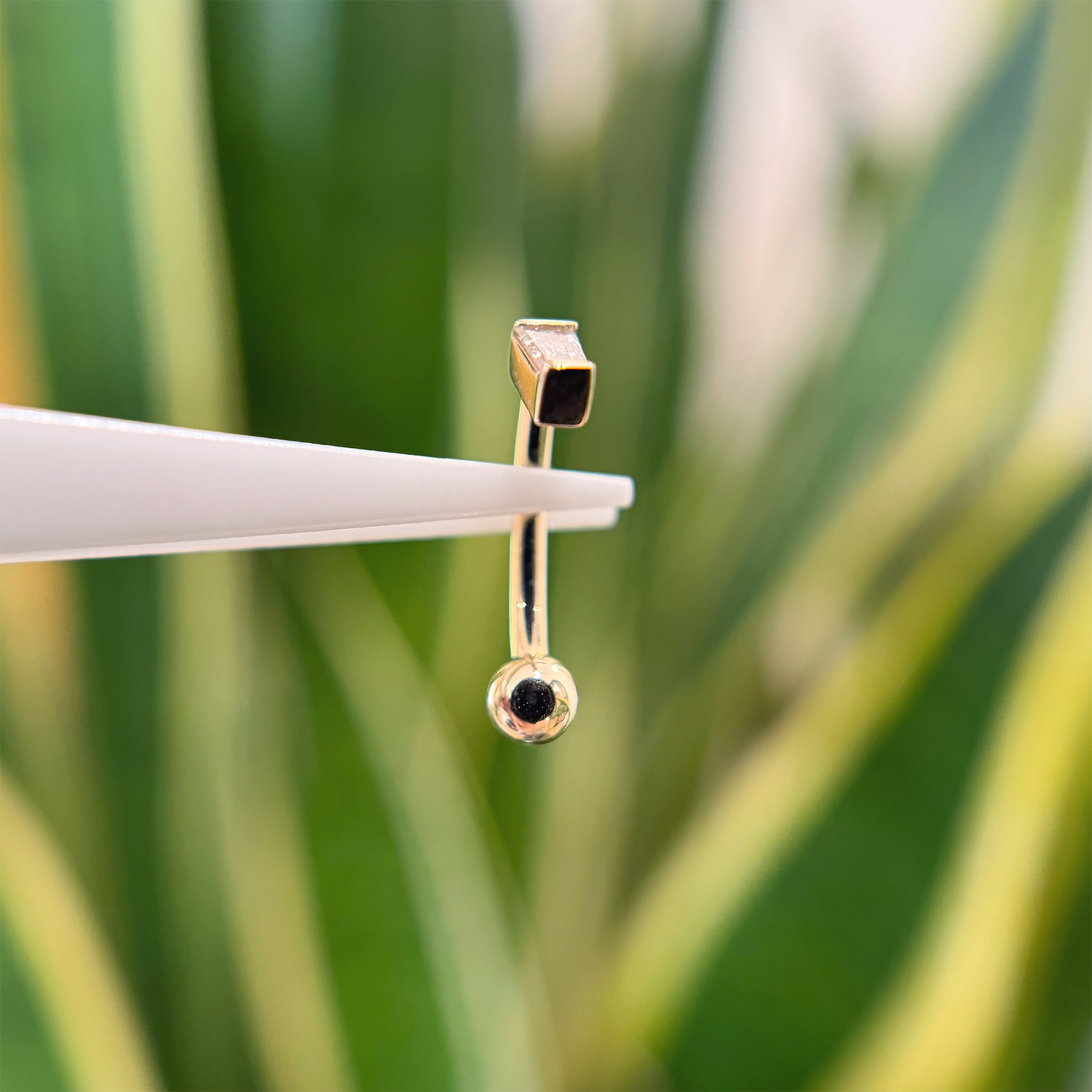 Tapered Baguette Curved Barbell